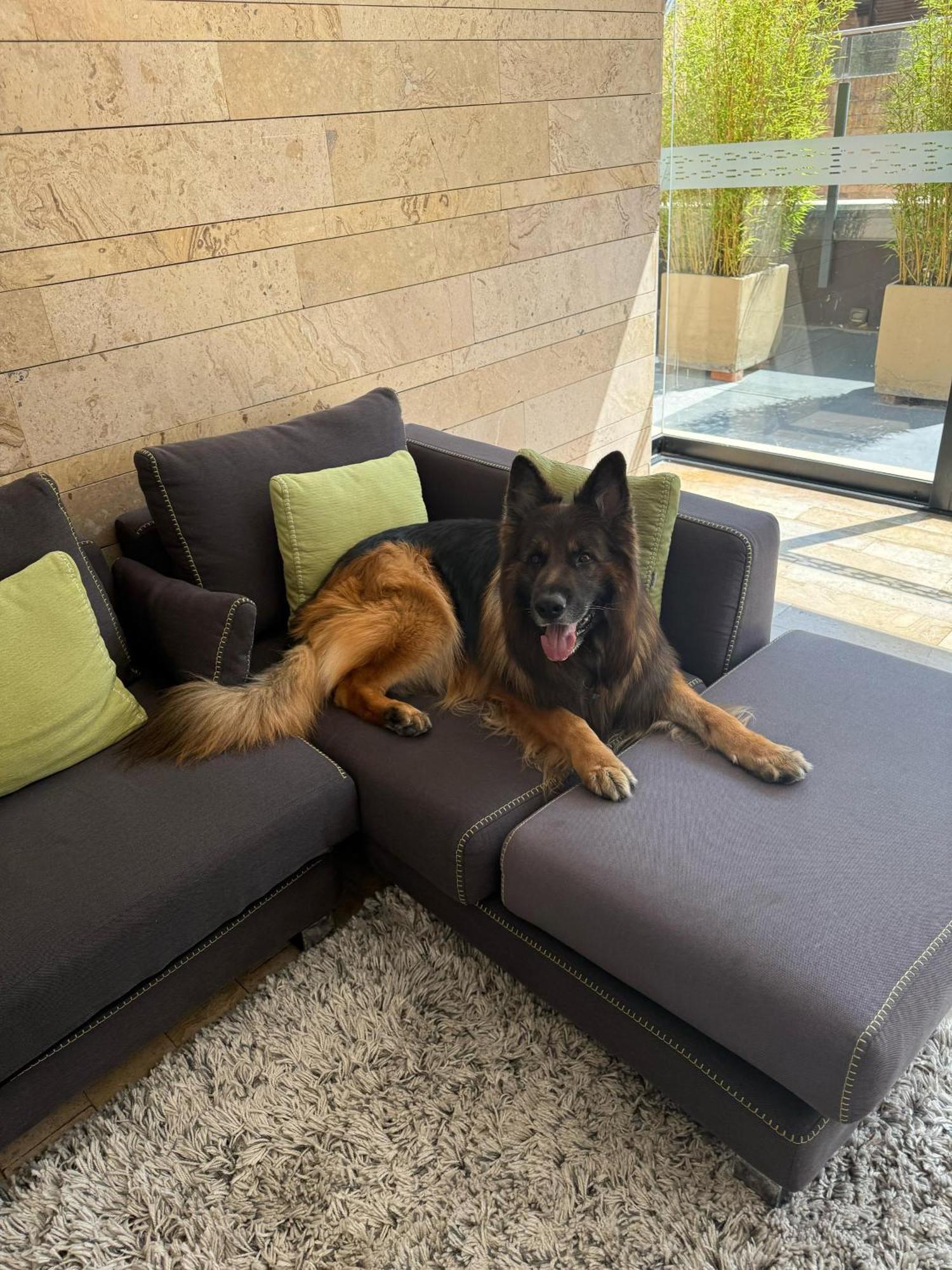 Central Apartamentos בוגוטה מראה חיצוני תמונה